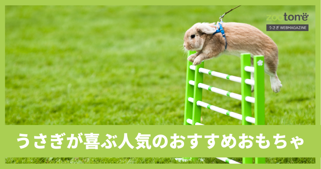 ZOO　他の方はご遠慮ください うさぎ 構って遊んで うさぎのおもちゃにおすすめ!トンネルの