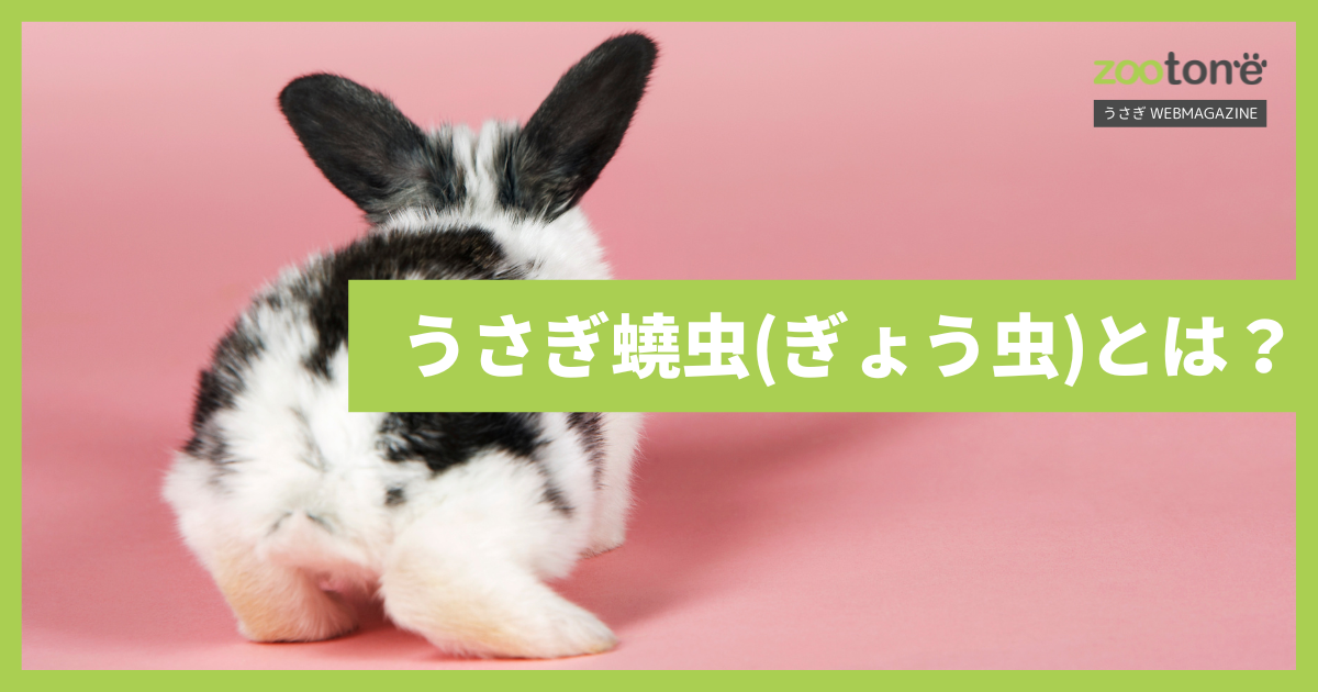 蟯虫は通常どのように治療されますか?